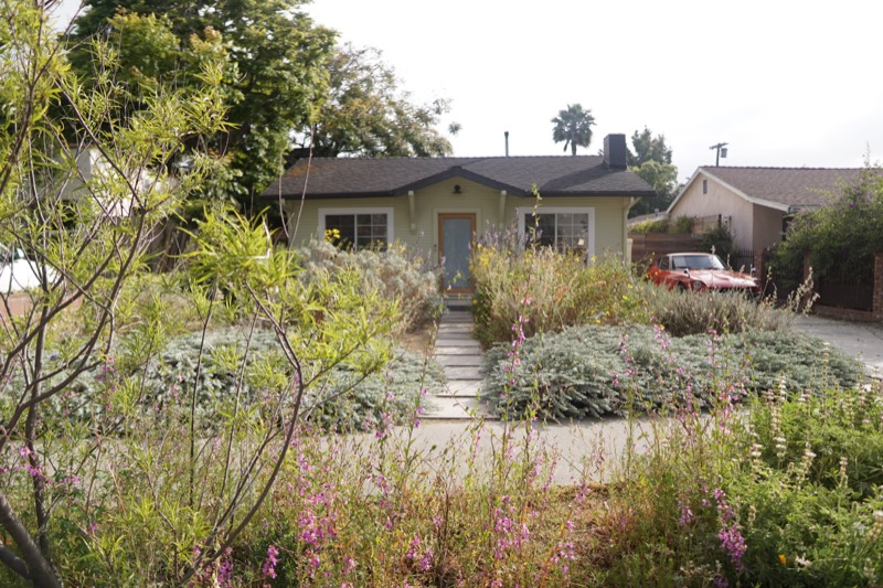 The front of a pale green bungalow seen from the street, framed by deep beds of flowering California native plants.