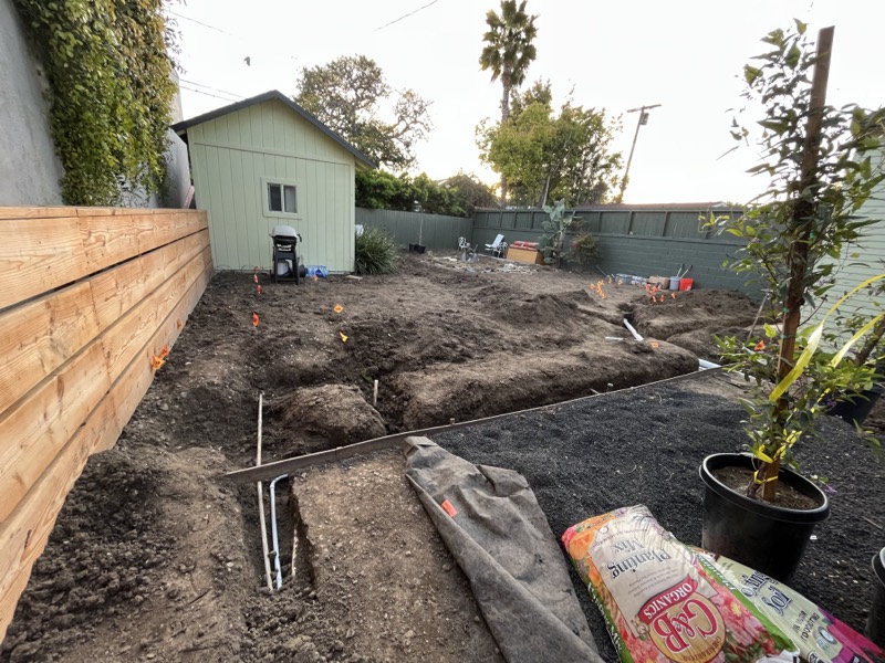 The back yard mid-construction, with irrigation trenches dug through bare soil and a potted tree waiting to go in.